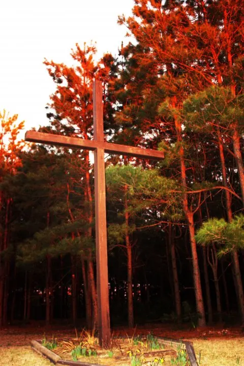 Wooden cross standing in autumn woods